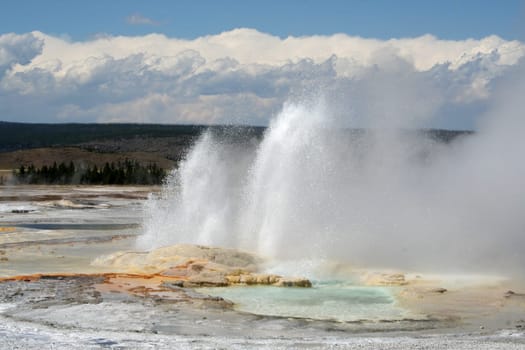 Yellowstone national park, USA