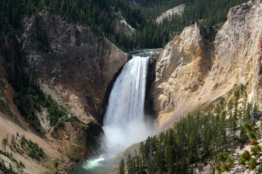 Yellowstone national park, USA