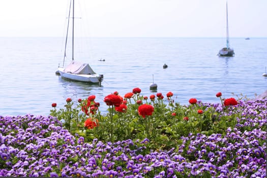 Am See Leman, Vevey