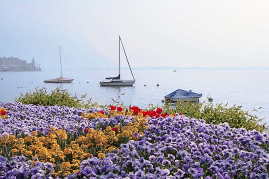 Am See Leman, Vevey