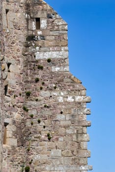Ruin (detail)