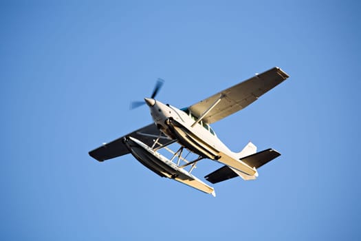 seaplane in flight
