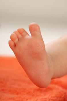 Baby Foot