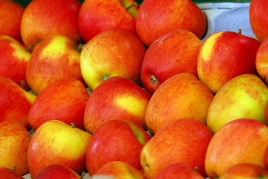Apples without (New York)