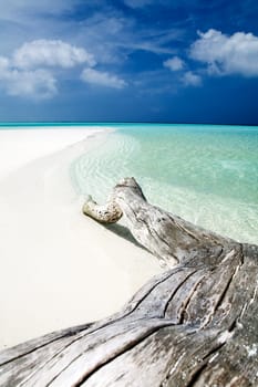 tropical beach