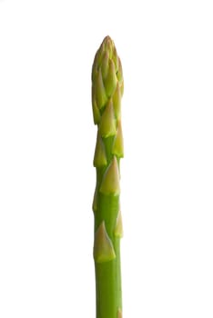 Asparagus