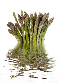 Asparagus