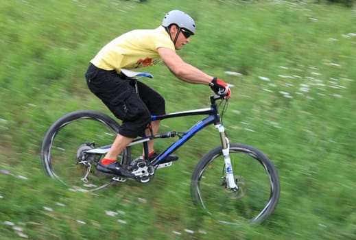 Downhill III - Meadow