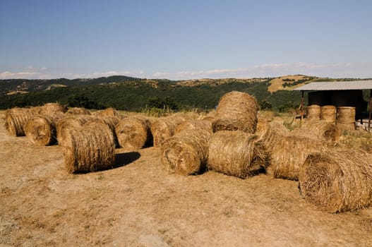 Straw bales