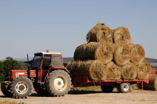 Harvest