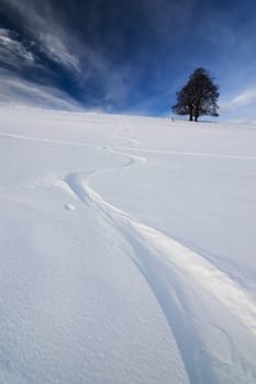 Snowboard 3