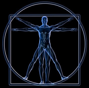 Vitruvian Man