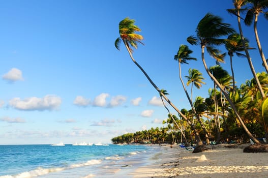 Tropical beach