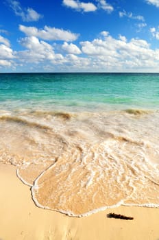 Tropical beach