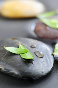 Stones in water