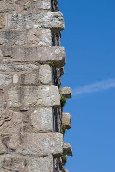 Piece of the Wall