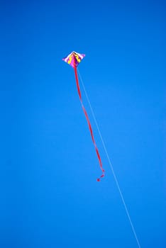 Kites in front of blue sky