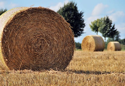 Straw bale 5111