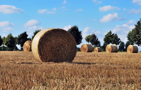 Straw bale 5108
