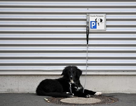 Parking lot