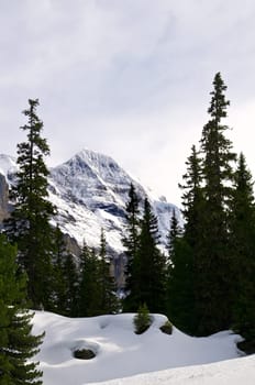 Grindelwald 8