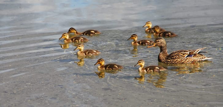 Family outing