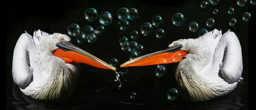 Soap bubble game