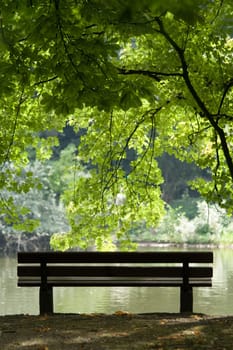 bench or (bank building without river without house without skyline)