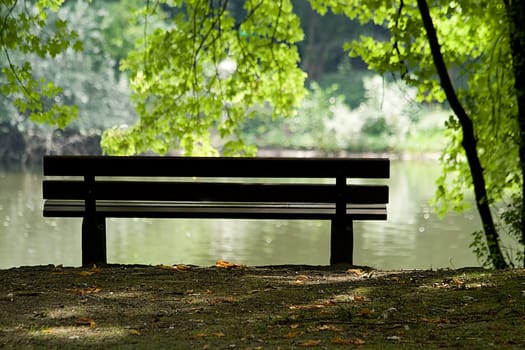 bench or (bank building without river without house without skyline)