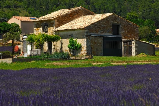 Farmhouse in Provence,France