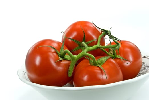Vine tomatoes - isolated on white