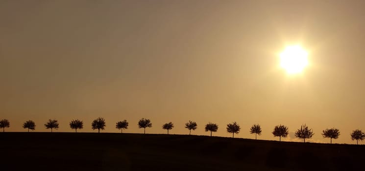 sONneNKraFT