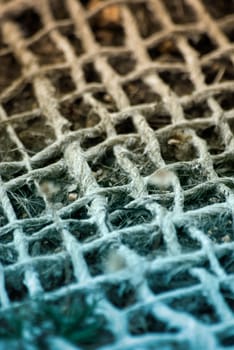Braided Mesh