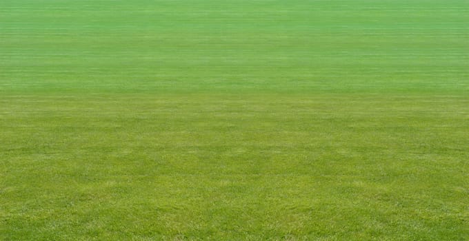 Lawn