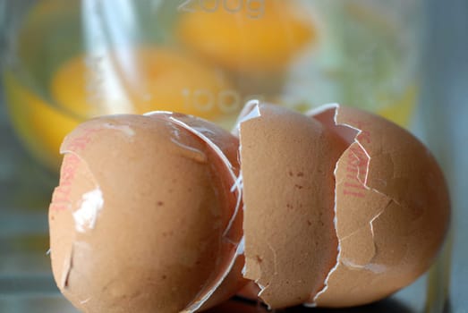 Eggs