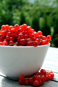 Currants (2)