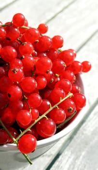 Currants (4)