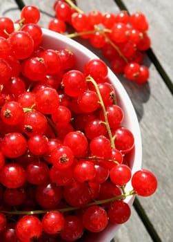 Currants (7)