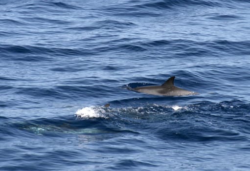 taken off Gran Canaria