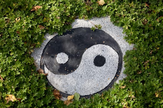 Yin and Yang