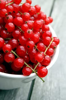 Currants (6)