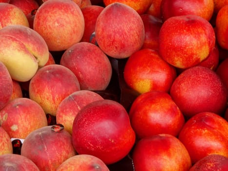 fruit