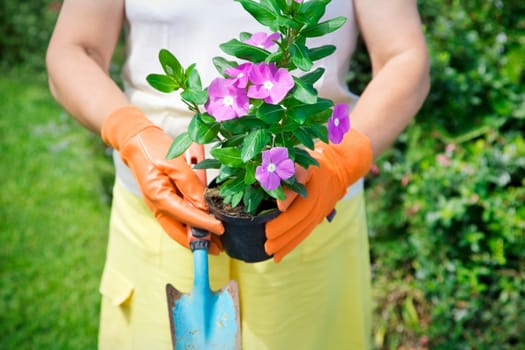 gardening