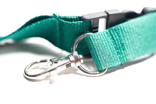 Lanyard
