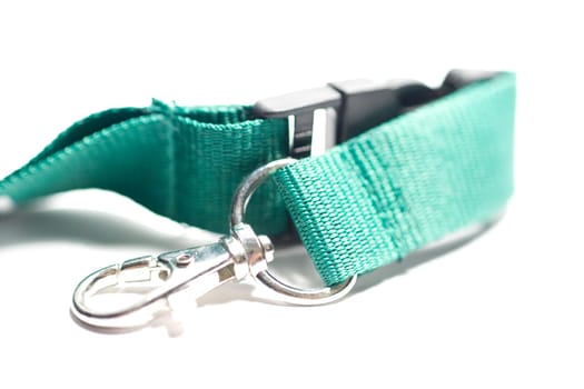 Lanyard