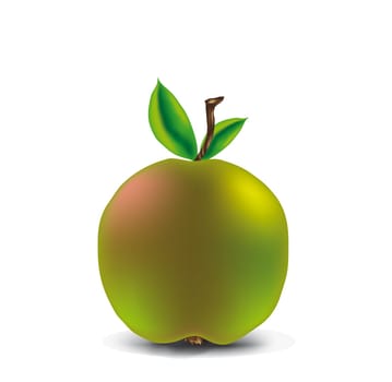 Apples without (New York)