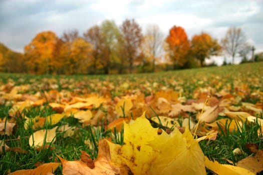 Autumn
