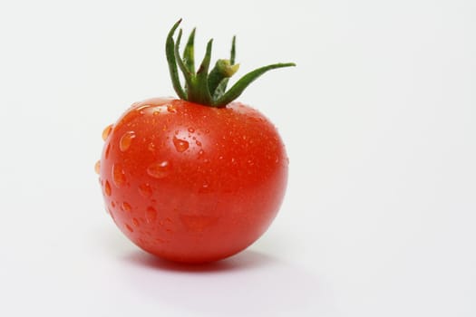 Tomato