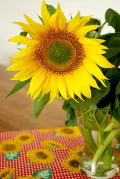 Sunny greetings