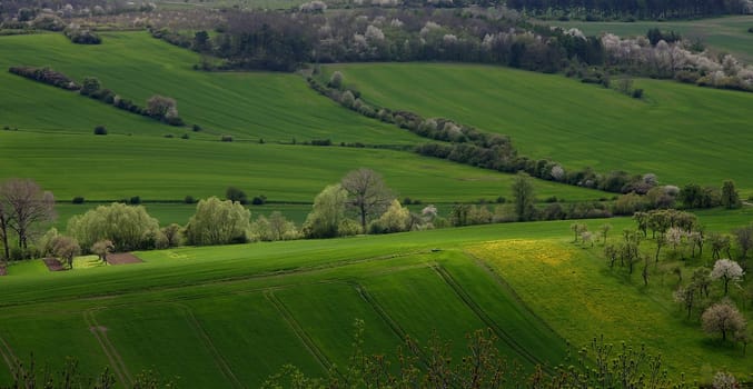 Pure spring